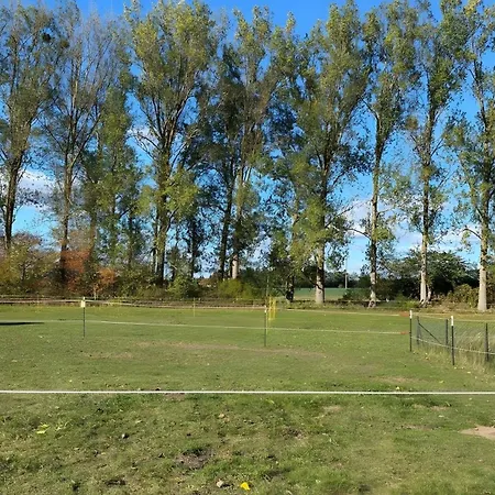 Ferienbungalow Ankerstube 48 * Blankensee (Mecklenburg-Vorpommern)