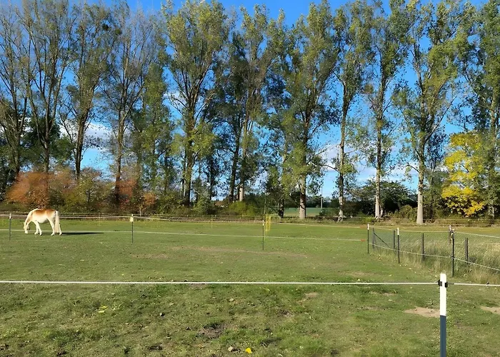 Ferienbungalow Ankerstube 48 * Blankensee (Mecklenburg-Vorpommern)